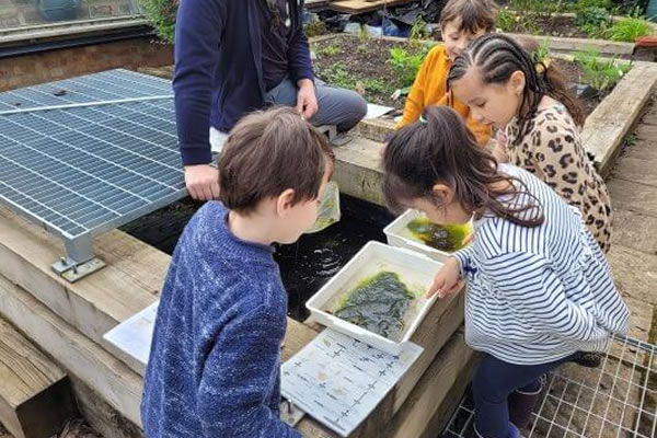 Children explore wildlife in Ravenscourt Park